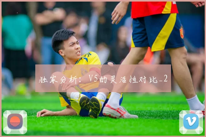 独家分析：V5的灵活性对比_2