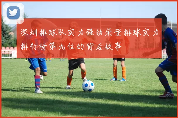 深圳排球队实力强劲荣登排球实力排行榜第九位的背后故事